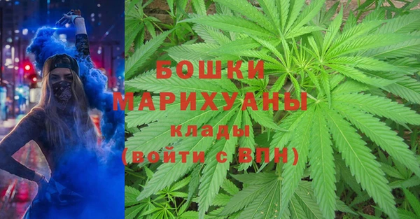 соль ск Аркадак