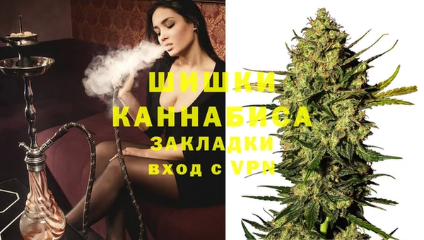 spice Алзамай