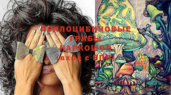 соль ск Аркадак